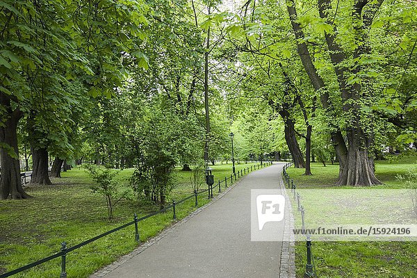 Park in Old Town Krakow Poland Europe EU Greenspace nature trees green.