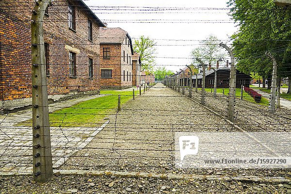 Auschwitz Birkenau Concentration Camp OŠ›wiÄ. cim Barbed wire electrified fence Museum Southern Poland Europe EU UNESCO.