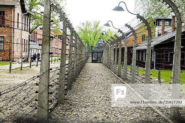 Auschwitz Birkenau Concentration Camp OŠ›wiÄ. cim Barbed wire electrified fence Museum Southern Poland Europe EU UNESCO.