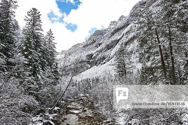 Pyrenees: Arazas river along snowy alpine landscape in the National park of Ordesa and Monte Perdido (Huesca province Aragon region Spain)