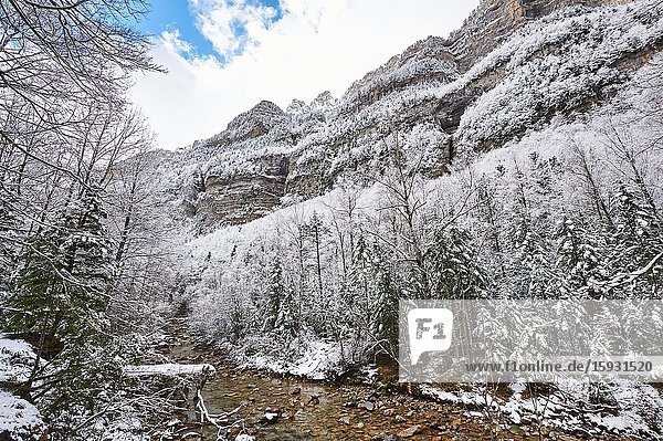 Pyrenees: Arazas river along snowy alpine landscape in the National park of Ordesa and Monte Perdido (Huesca province Aragon region Spain)