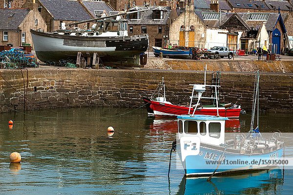 Johnshaven coastal fishing village N. E. Scotland UK.