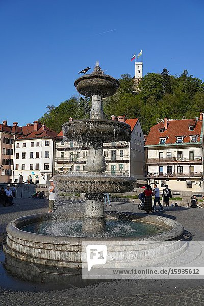 Fountain in New Square, Vodnjak na Novem trgu, Ljubljana, Slovenia, Europe