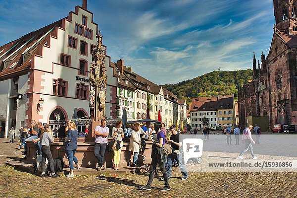 People gathered at a fountain in Cathedral Square Freiburg Baden-Wurttemberg Germany Freiburg Baden-Wurttemberg Germany.