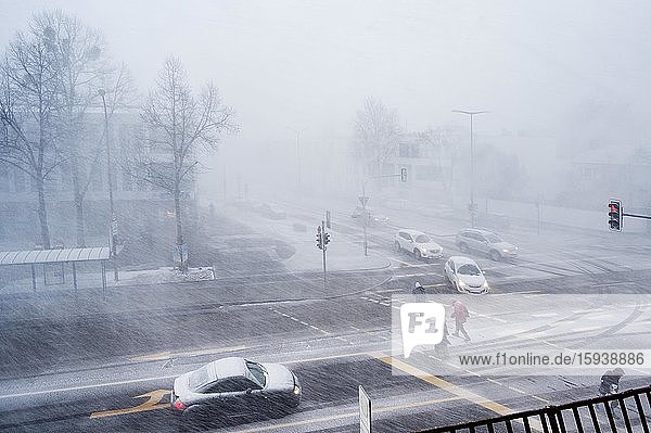 Snowstorm at road junction  Munich  Upper Bavaria  Bavaria  Germany  Europe