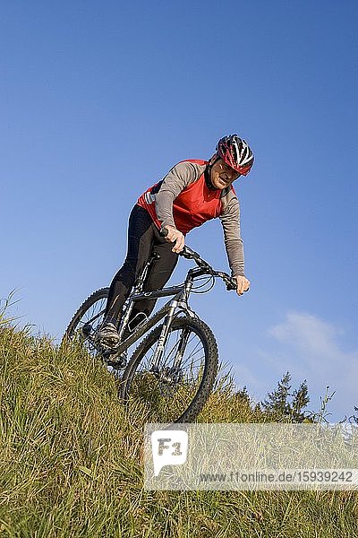 Cyclist on a bike tour with mountain bike  Salzkammergut  Upper Austria  Austria  Europe
