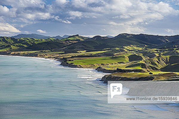 Küstenlinie Castlepoint  Berglandschaft mit grünen Hügeln und Weideland  Masterton  Wellington  Neuseeland  Ozeanien