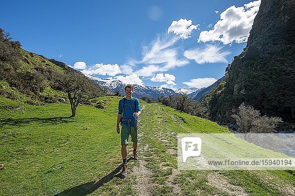 Wanderer auf Wanderweg zum Rob Roy Glacier  Mount Aspiring National Park  Otago  Südinsel  Neuseeland  Ozeanien