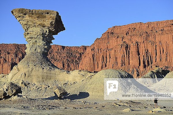 Rock formation El Hongo  the mushroom with red rock face  Ischigualasto Nature Reserve  San Juan Province  Argentina  South America