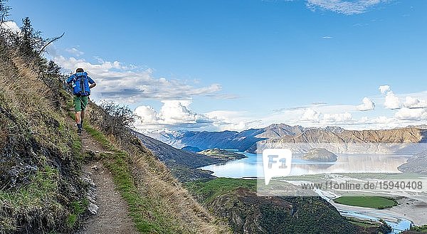 Hiker on the hiking trail to Rocky Peak  views of Wanaka Lake and mountains  Glendhu Bay  Otago  South Island  New Zealand  Oceania