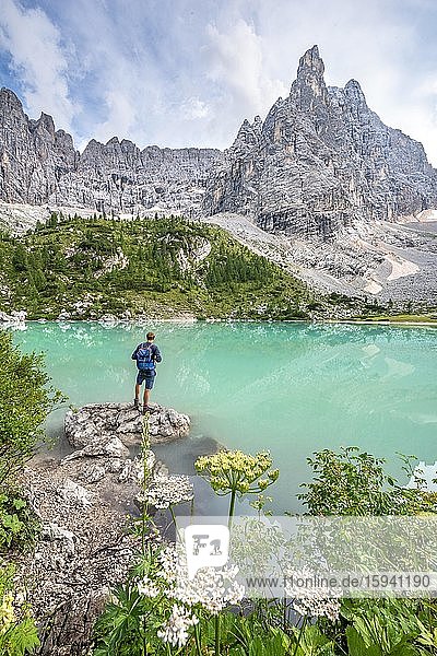 Young man hiker at the turquoise-green Sorapis lake with flowers  Lago di Sorapis  mountain peak Dito di Dio  Dolomites  Belluno  Italy  Europe