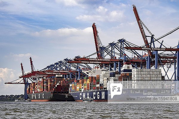 Hafenkräne im Hamburger Hafen entladen Containerschiffe  Deutschland  Europa