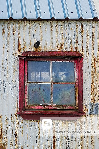 Fassade aus rostigem  verwittertem Wellblech mit Fenster  Saunders Island  Falkland Inseln  Grossbritannien