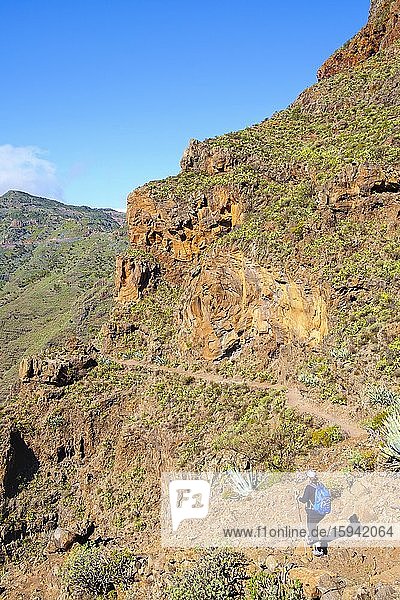 Woman hiking on hiking trail  Alto de Tacalcuse  near San Sebastian  La Gomera  Canary Islands  Spain  Europe
