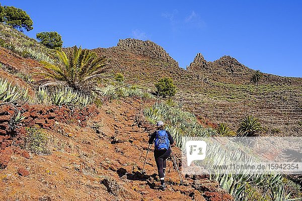 Woman hiking on rocky trail  Tacalcuse  near San Sebastian  La Gomera  Canary Islands  Spain  Europe