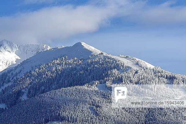 Kellerjoch im Winter  Tuxer Voralpen  Tirol  Österreich  Europa