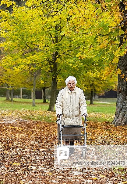 Seniorin mit Rollator geht in einem herbstlichen Park spazieren  Österreich  Europa