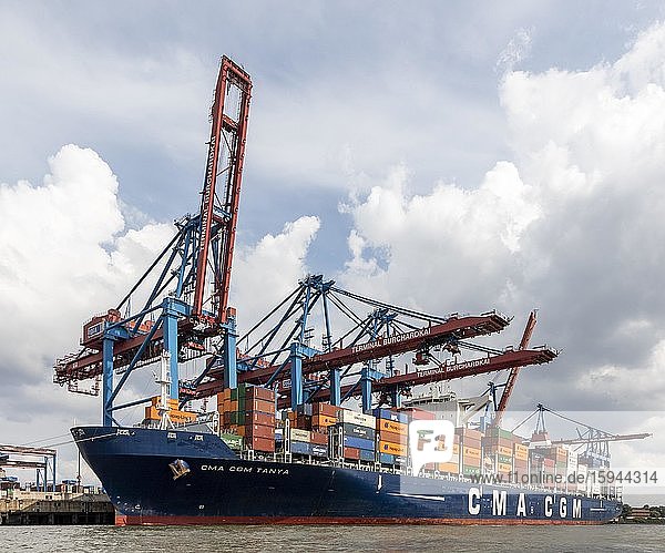 Hafenkräne im Hamburger Hafen entladen Containerschiffe  Deutschland  Europa