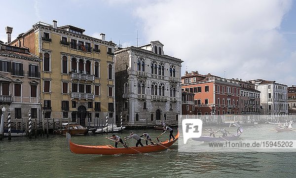 Gondola race on St. Mark's Day  Canal Grande  Venice  Veneto  Italy  Europe