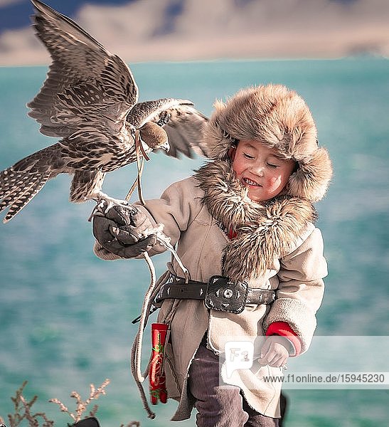 Mongolian falcon hunter  little boy with trained falcon  province Bajan-Ölgii  Mongolia  Asia