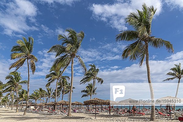 Badegäste am Strand mit Palmen  Sonnenschirmen und Strandliegen  Salalah Rotana Resort  Salalah  Oman  Asien