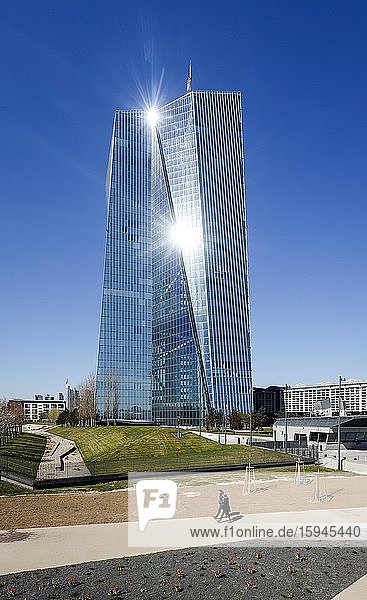 ECB European Central Bank  Frankfurt am Main  Hesse  Germany  Europe