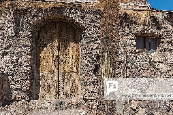 Door made of cactus wood  Isla Incahuasi  Inca House Island  Salar de Uyuni  Potosi Department  Southwest Bolivia