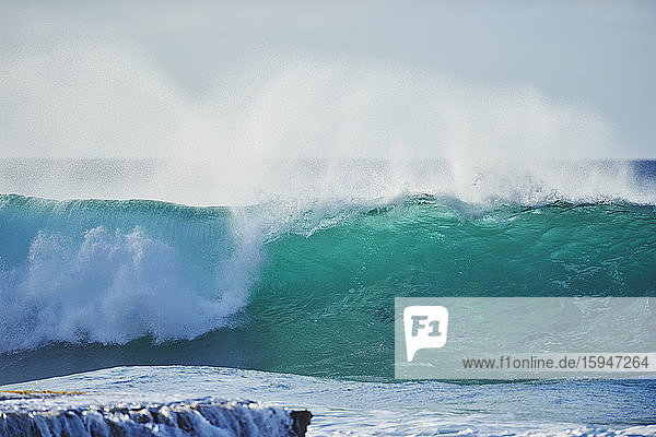 Große Wellen am Strand  Oahu  Hawaii  USA