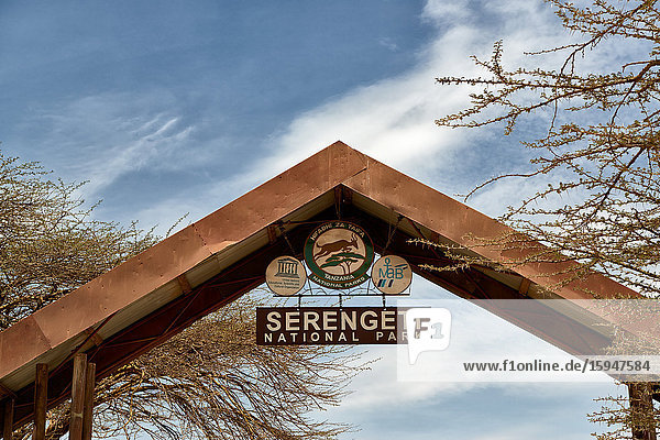 Serengeti Nationalpark  Tansania  Ostafrika  Afrika