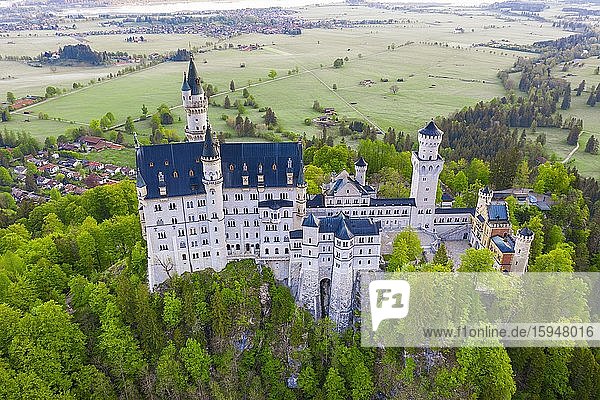 Schloss Neuschwanstein  bei Schwangau  Drohnenaufnahme  Ostallgäu  Allgäu  Schwaben  Bayern  Deutschland  Europa