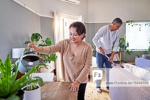 Mature couple watering houseplants and cleaning living room
