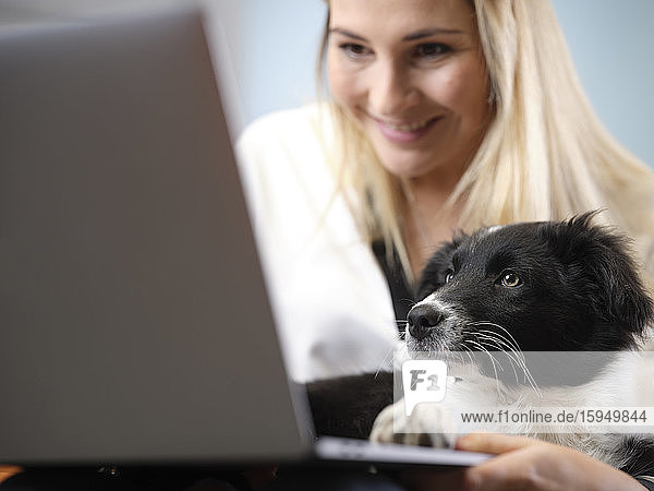 Smiling businesswoman with dog using laptop