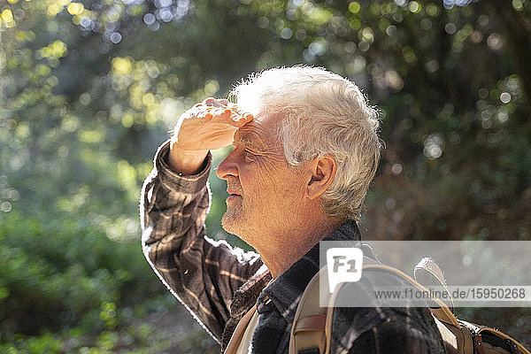 Profile of senior man hiking in forest shielding his eyes