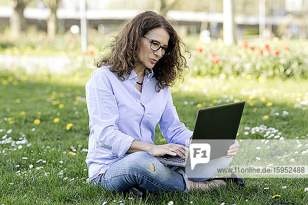 Frau sitzt mit Laptop auf einer Wiese