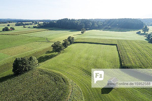 Deutschland  Bayern  Drohnenblick auf grüne Wiesen und Kornfelder im Sommer