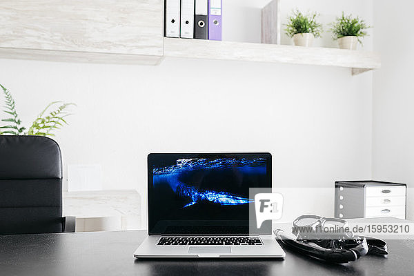 Laptop auf einem Tisch mit einem Foto eines Finnwals auf dem Bildschirm und einer Taucherbrille daneben