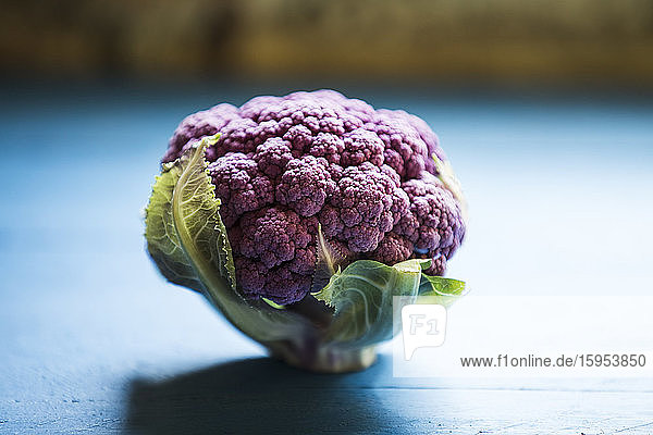 Nahaufnahme von violettem Blumenkohl