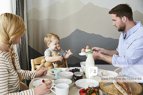 Little boy sitting at breakfast table with his parents