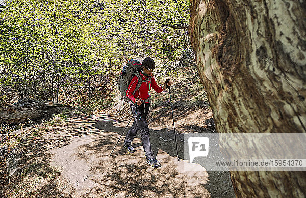 Full length of woman with her backpack hiking in the forest  El Chalten  Argentina