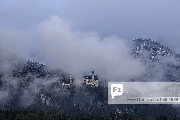 Deutschland  Bayern  Hohenschwangau  Luftaufnahme von Schloss Neuschwanstein in Nebel gehüllt