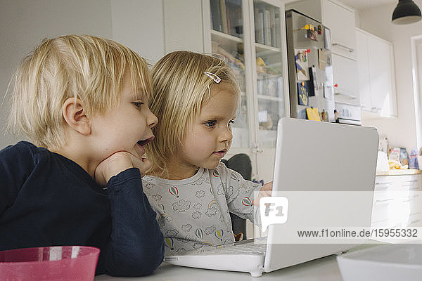Little girl using laptop at home while her older brother watching her