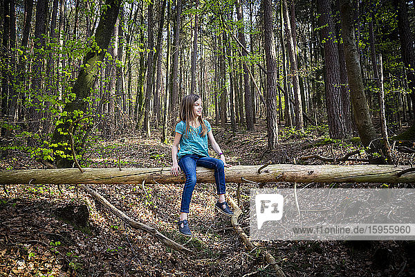 Lächelndes Mädchen sitzt auf Totholz im Wald