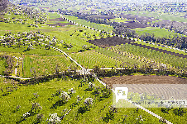 Deutschland  Baden-Württemberg  Weilheim an der Teck  Drohnenblick auf die weite grüne Landschaft im Frühling