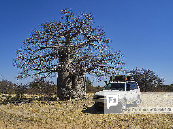 Parkplatz für Geländewagen in der Nähe von Baobab  Angola