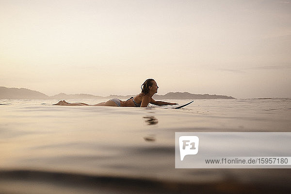 Female surfer lying on surfboard in the evening  Costa Rica