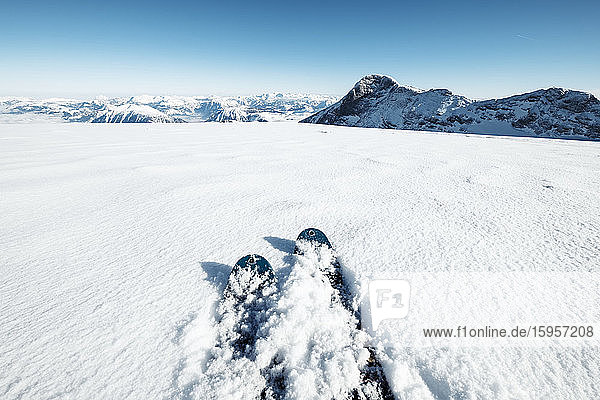 Österreich  Oberösterreich  Im Schnee liegende Skier am Dachsteingletscher