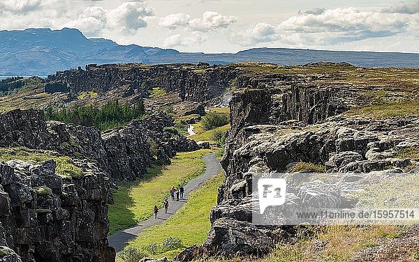 Rift valley or rift zone  Thingvellir  Þingvellir National Park  Iceland  Europe