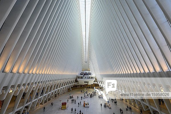 U-Bahnhof Oculus Station World Trade Center Transportation Hub New York Metro Ground Zero World Trade Center New York City USA Nordamerika