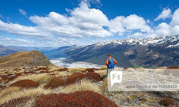 Wanderer auf dem Berggipfel des Mount Alfred  Ausblick auf Lake Wakatipu und Berggipfel  Glenorchy bei Queenstown  Südliche Alpen  Otago  Südinsel  Neuseeland  Ozeanien