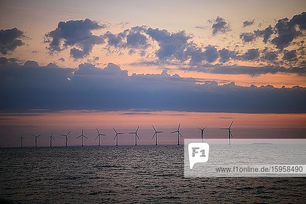 Blick vom Amager Strand auf Windkrafträder im Meer bei Sonnenaufgang  Offshore Windpark  Kopenhagen  Dänemark  Europa